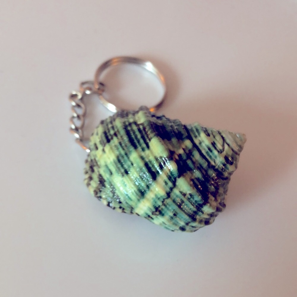 Green Shell Keychain - Picture 4 of 4
